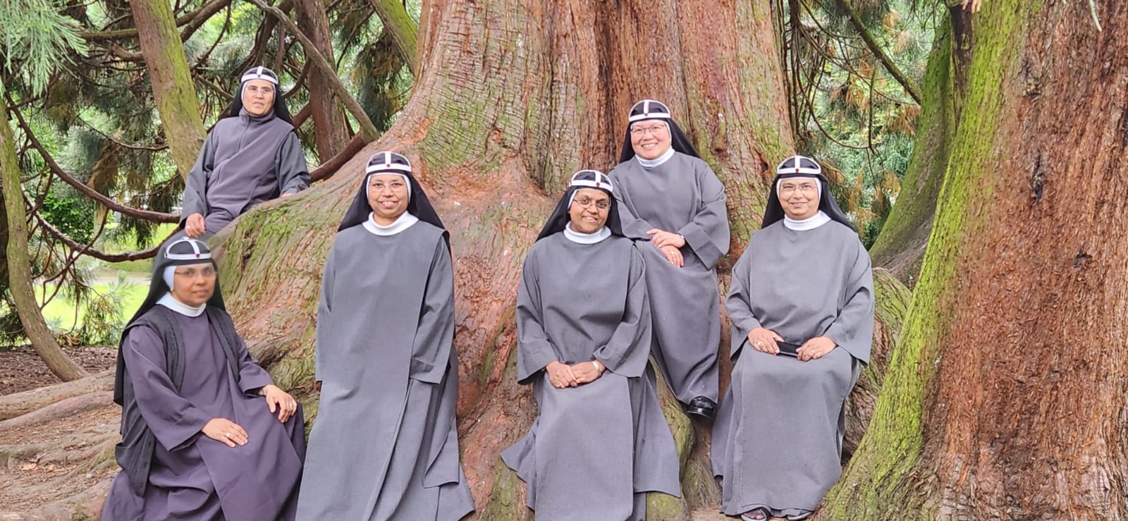 Sisters by a giant tree
